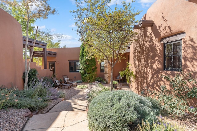 view of yard featuring a patio