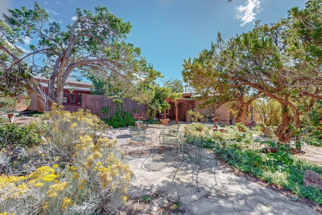 view of yard with a patio area