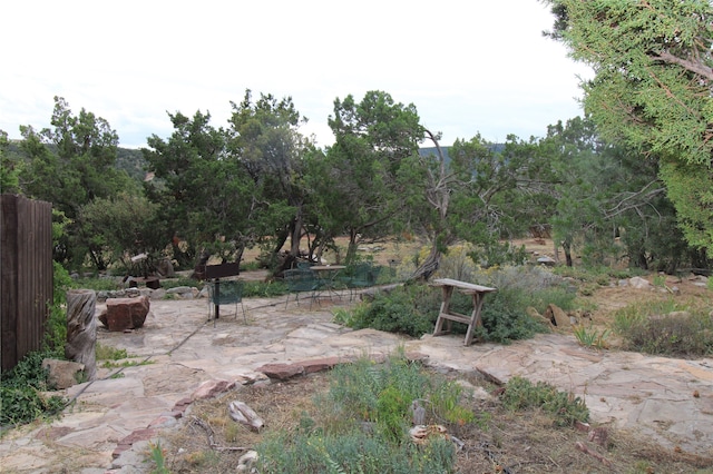 view of yard with a patio area