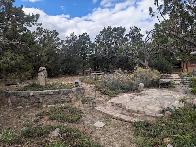 view of yard with a patio area