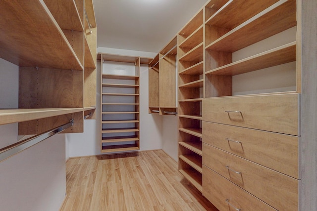 walk in closet featuring light wood-type flooring