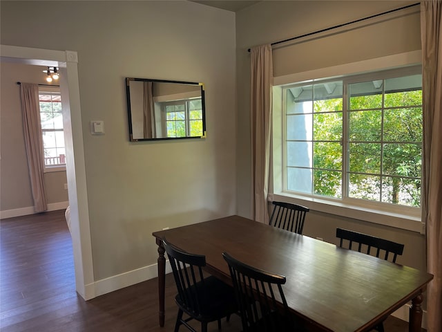 dining area with dark hardwood / wood-style flooring and a wealth of natural light