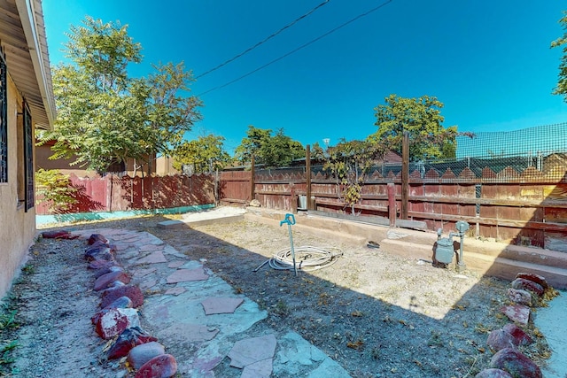 view of yard featuring a patio area