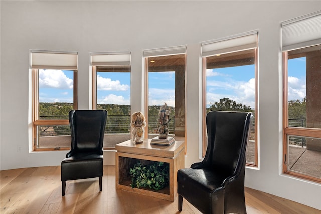 sitting room featuring light hardwood / wood-style flooring and plenty of natural light