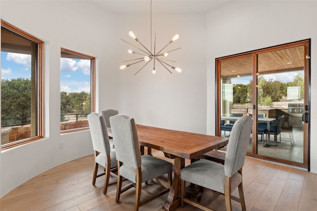 dining area with a chandelier, a healthy amount of sunlight, and light hardwood / wood-style flooring