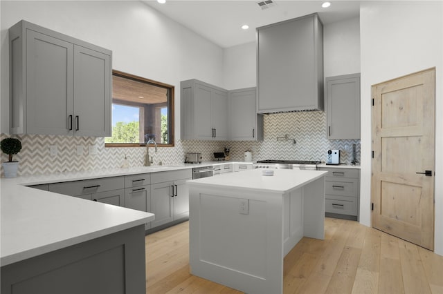 kitchen featuring a center island, light hardwood / wood-style floors, premium range hood, and stainless steel appliances