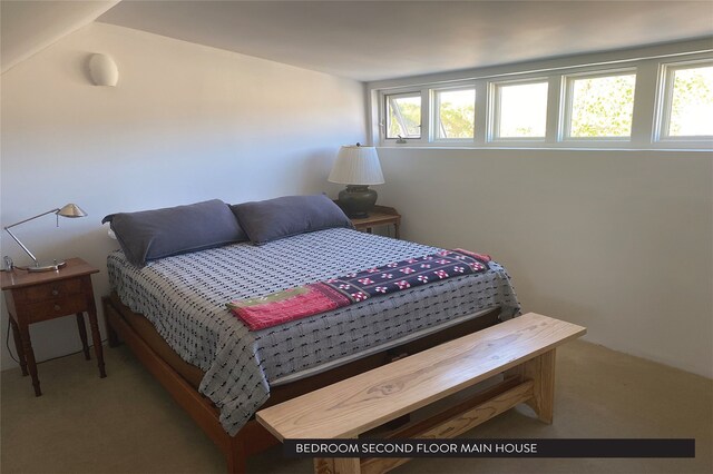 bedroom featuring carpet floors