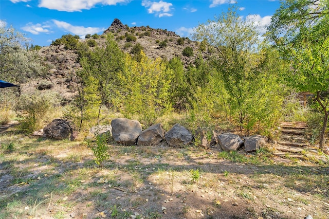 view of local wilderness