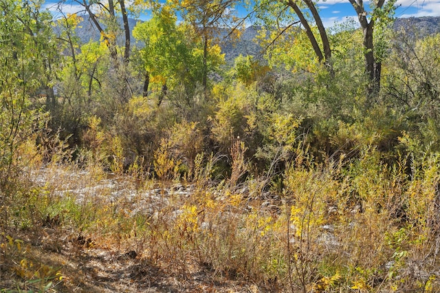 view of landscape