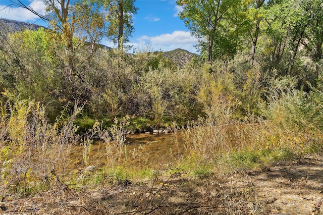 view of local wilderness with a mountain view