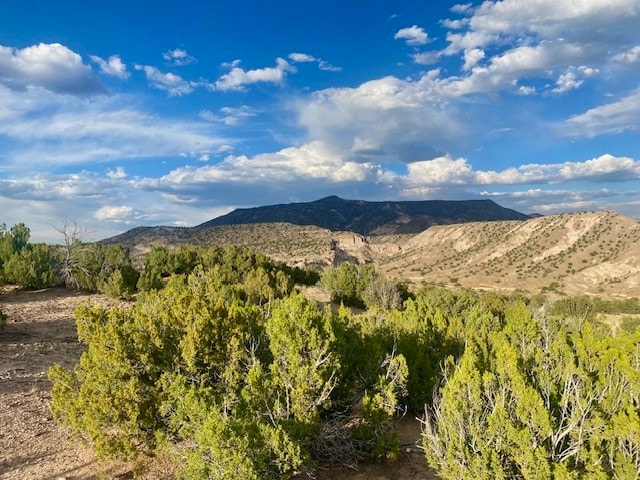 Listing photo 3 for LOT79 County Rd 156, Abiquiu NM 87510