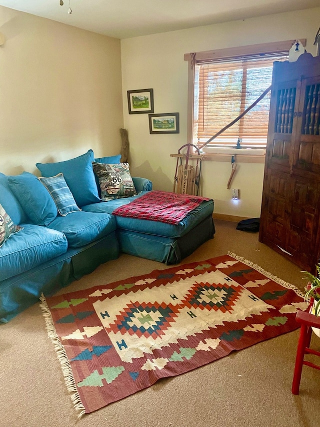 living room featuring carpet flooring