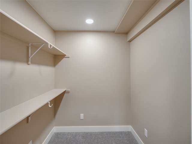 spacious closet with carpet floors