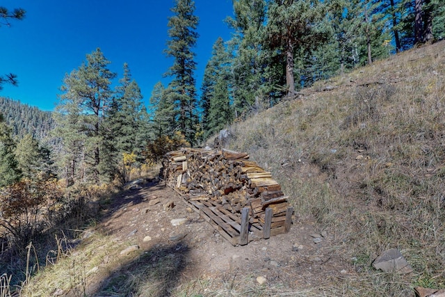 12 Pine Ln, Terrero, NM 87573 - view of yard with a wooded view