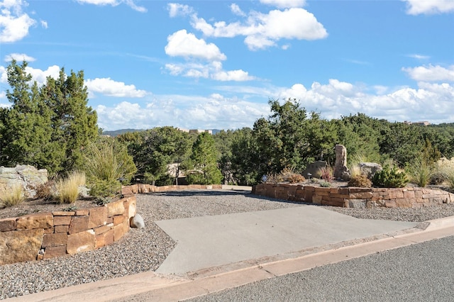 view of yard with a patio area