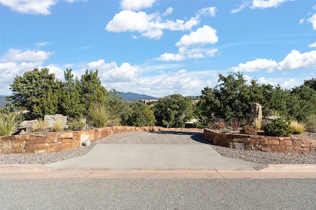 view of yard featuring a mountain view