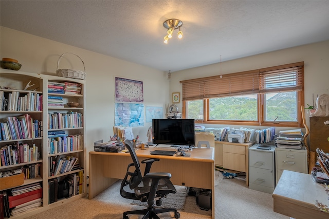 view of carpeted office