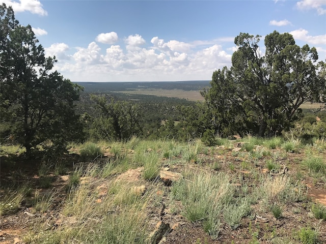 0 Glorieta Mesa, Glorieta NM, 87535 land for sale