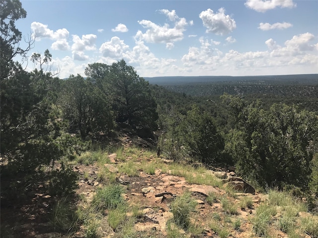 Listing photo 3 for 0 Glorieta Mesa, Glorieta NM 87535