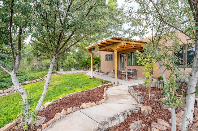 view of yard with a patio and a pergola