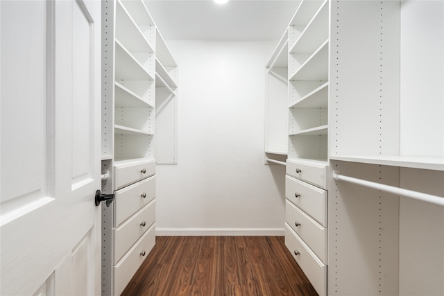 spacious closet with dark hardwood / wood-style flooring