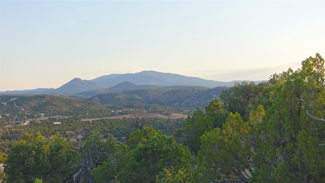 Listing photo 2 for 16 End Of The Trail Rd, NM 87508