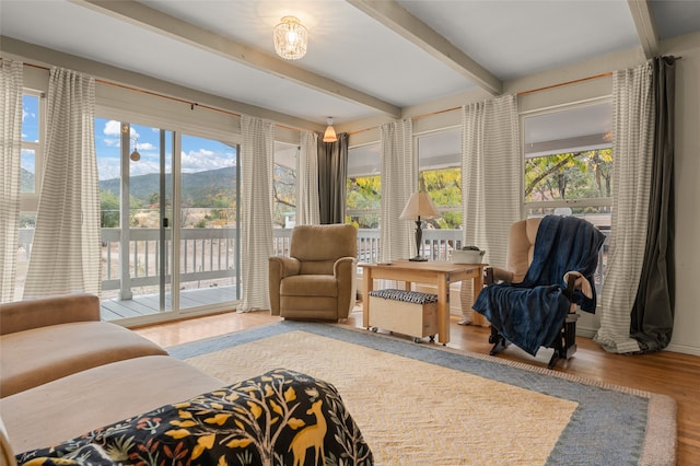 sunroom featuring beamed ceiling and a healthy amount of sunlight