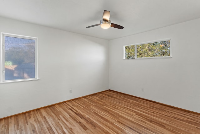 spare room with ceiling fan and wood-type flooring