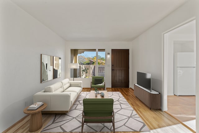 living room with light wood-type flooring