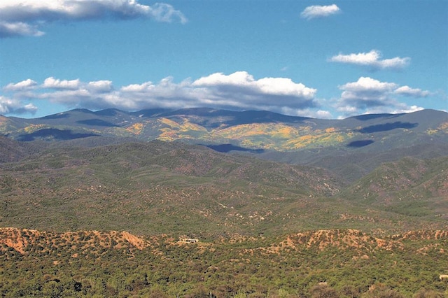 view of mountain feature