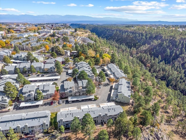 birds eye view of property featuring a forest view and a mountain view