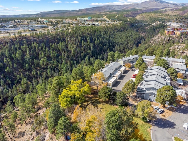 birds eye view of property featuring a mountain view and a view of trees