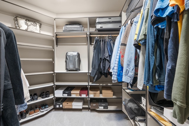 spacious closet featuring carpet flooring