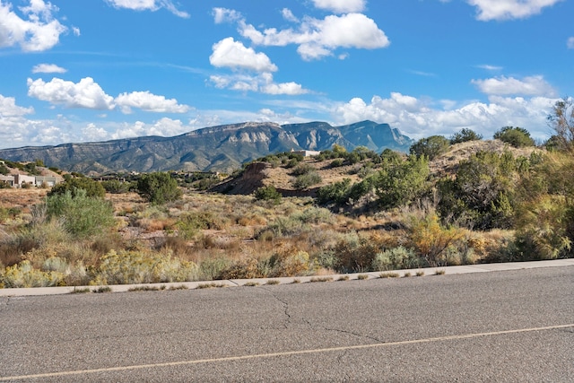 view of mountain feature