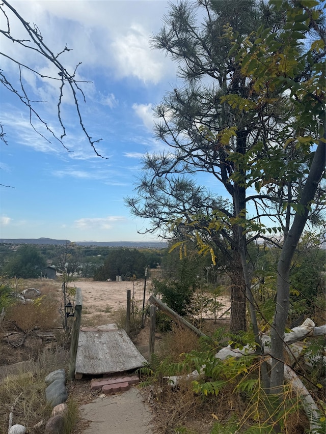 view of yard featuring a rural view