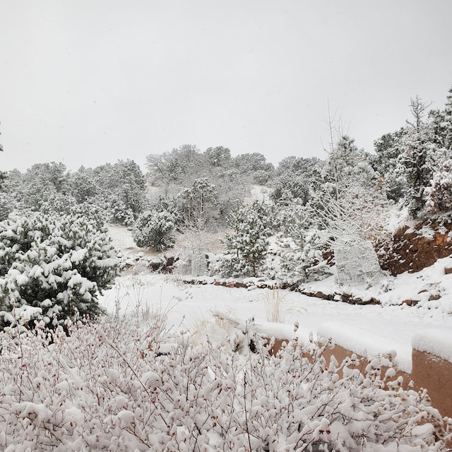 view of snowy view