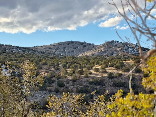 property view of mountains