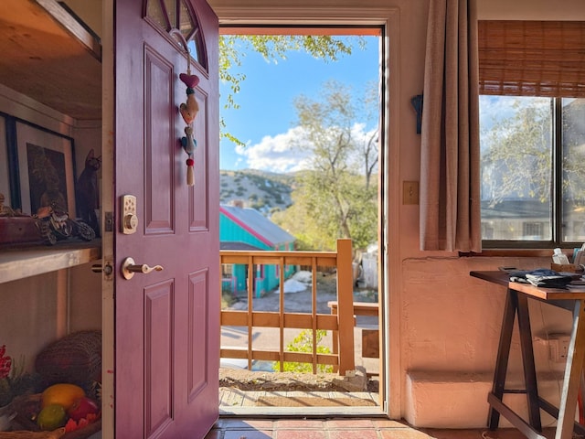 entryway featuring a wealth of natural light