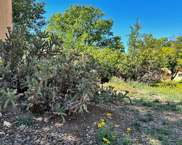 view of nature