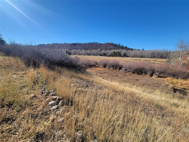 view of mountain feature with a rural view