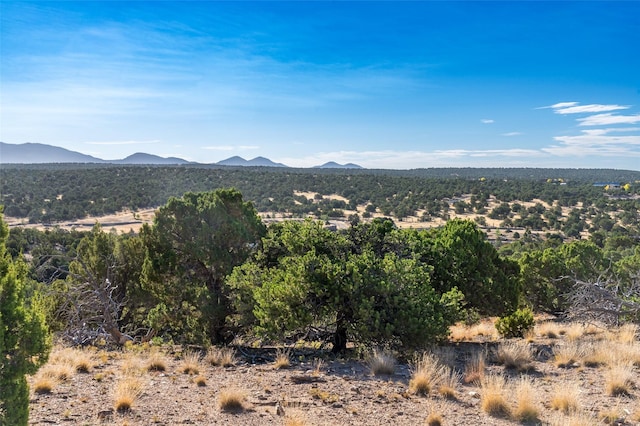 16/24/25/28 Majigo Dr, Santa Fe, NM 87506