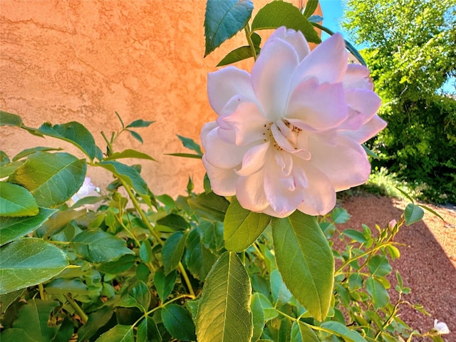 108 Camino Santiago Lot 23, Santa Fe, NM 87501