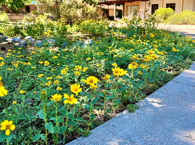 108 Camino Santiago Lot 23, Santa Fe, NM 87501