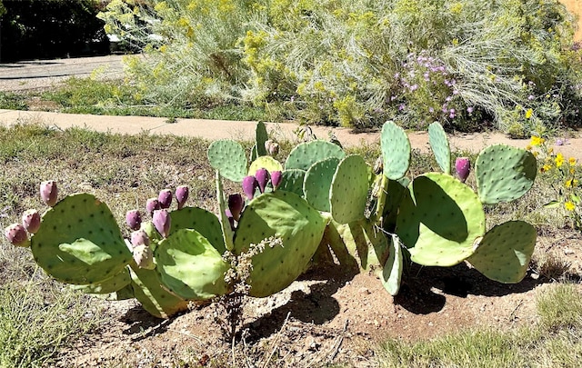 108 Camino Santiago Lot 23, Santa Fe, NM 87501