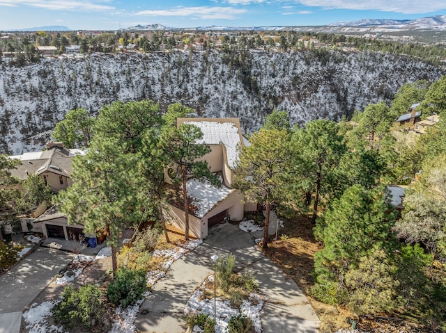 birds eye view of property with a mountain view