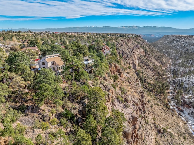 aerial view with a mountain view