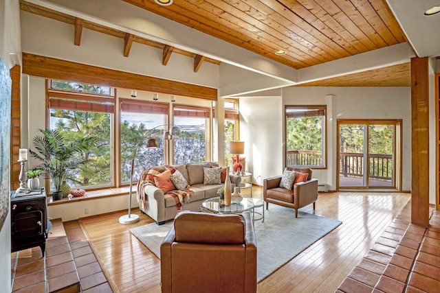 living room featuring a wood stove, a healthy amount of sunlight, and light hardwood / wood-style floors