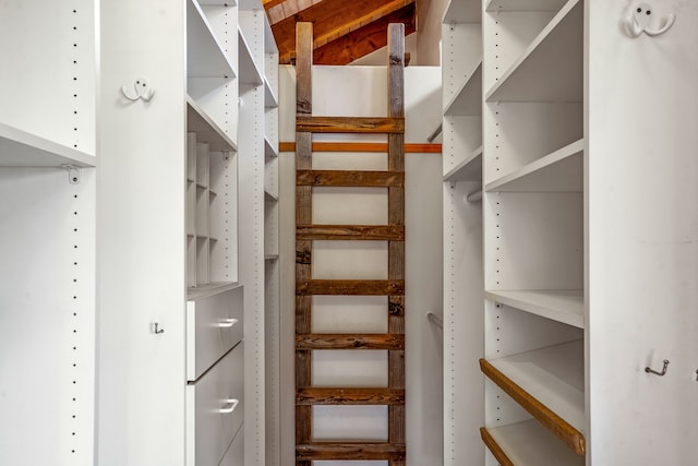 view of walk in closet