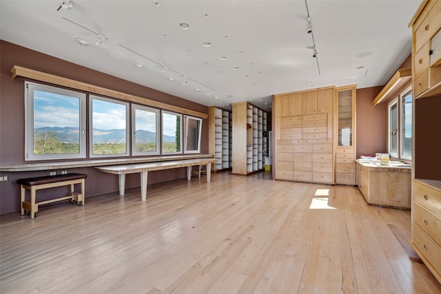 interior space with a mountain view and light hardwood / wood-style flooring