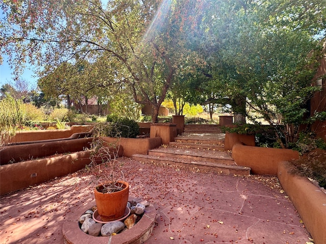 view of yard featuring a patio area